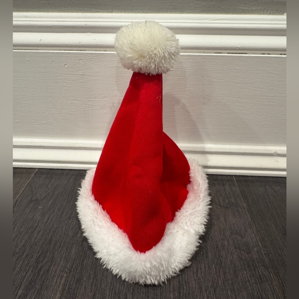 Barkbox Festive Red and White Pet Dog Santa Christmas Hat